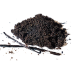 Vanilla seeds