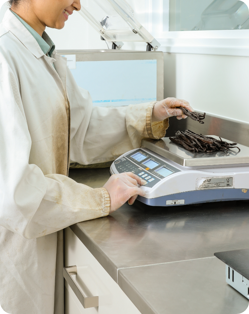 Highlights the Experts