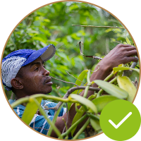 Priority Fulfillment