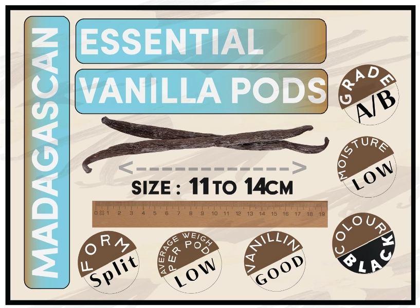 Essential Vanilla Pods pack