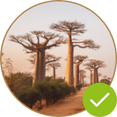 World's Favourite Origin